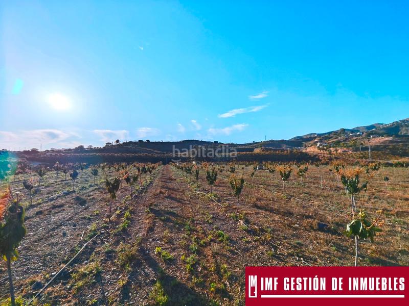 Foto 16862c93-5616-4a4f-b068-9f86f7994793. Finca rústica a urbanizacion los eucaliptos 24 a Vélez - Málaga