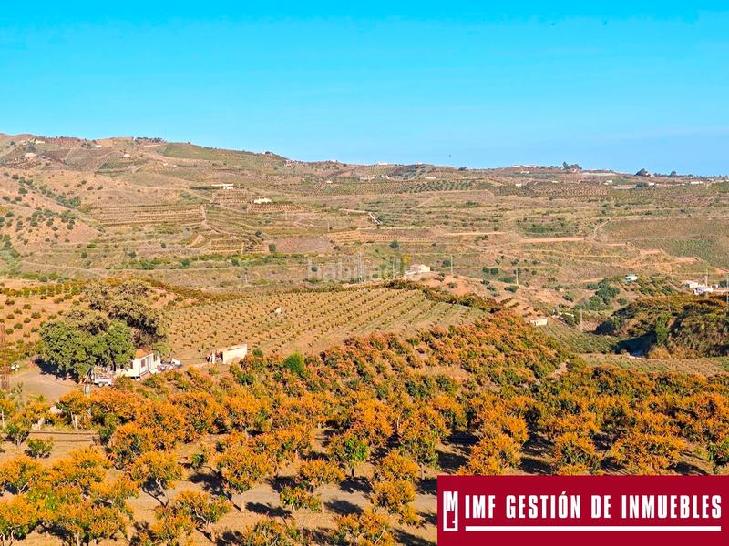 Foto 19923063-effb-4262-bdef-dfa49f7802f6. Finca rústica a urbanizacion los eucaliptos 24 a Vélez - Málaga