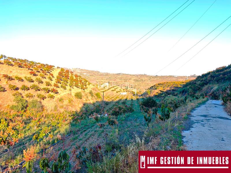 Foto 2102a8c6-6d8d-4fc9-ab5a-68a8adeccdf4. Finca rústica a urbanizacion los eucaliptos 24 a Vélez - Málaga