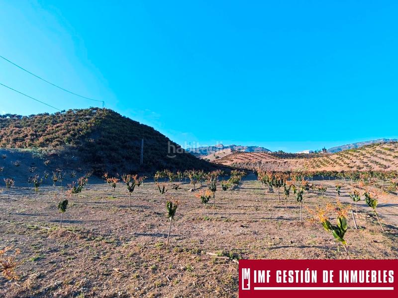 Foto 3eb16d1b-6a88-4a32-a32b-af03c4de6b3e. Finca rústica a urbanizacion los eucaliptos 24 a Vélez - Málaga