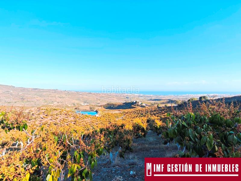 Foto 3fdcfa31-e512-4677-aee5-3257cbc9c954. Finca rústica a urbanizacion los eucaliptos 24 a Vélez - Málaga