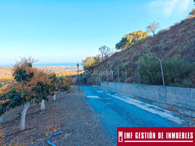 Foto 499144f4-e1c2-406e-a432-71372b3e0b49. Finca rústica a urbanizacion los eucaliptos 24 a Vélez - Málaga