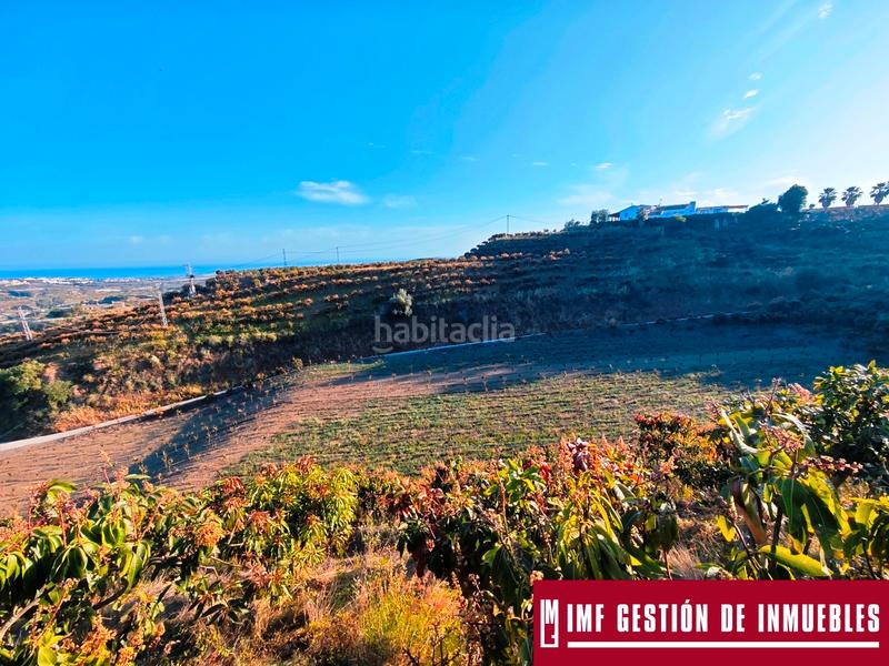Foto 54a9e906-6307-42e5-972e-d1504fb8c78f. Finca rústica a urbanizacion los eucaliptos 24 a Vélez - Málaga