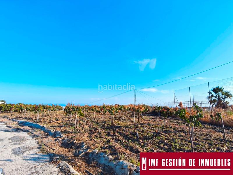 Foto 5a7dfbce-621a-49c7-a082-8a11cdd34abf. Finca rústica a urbanizacion los eucaliptos 24 a Vélez - Málaga