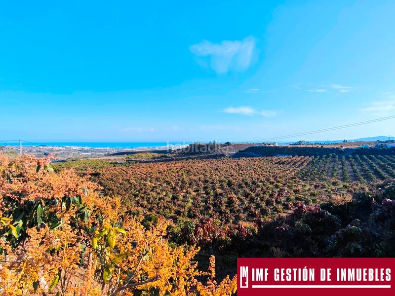 Foto 5ff3f6f3-b59f-4193-a78d-0c29f65feff0. Finca rústica a urbanizacion los eucaliptos 24 a Vélez - Málaga