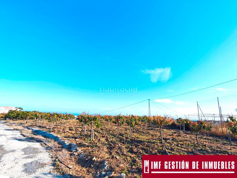 Foto 739de651-44d2-4991-a4f2-5af99857b7b1. Finca rústica a urbanizacion los eucaliptos 24 a Vélez - Málaga