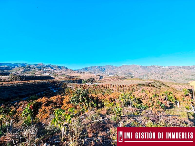 Foto 7900a4b7-0fb5-4039-b5e1-d11426e55f3f. Finca rústica a urbanizacion los eucaliptos 24 a Vélez - Málaga