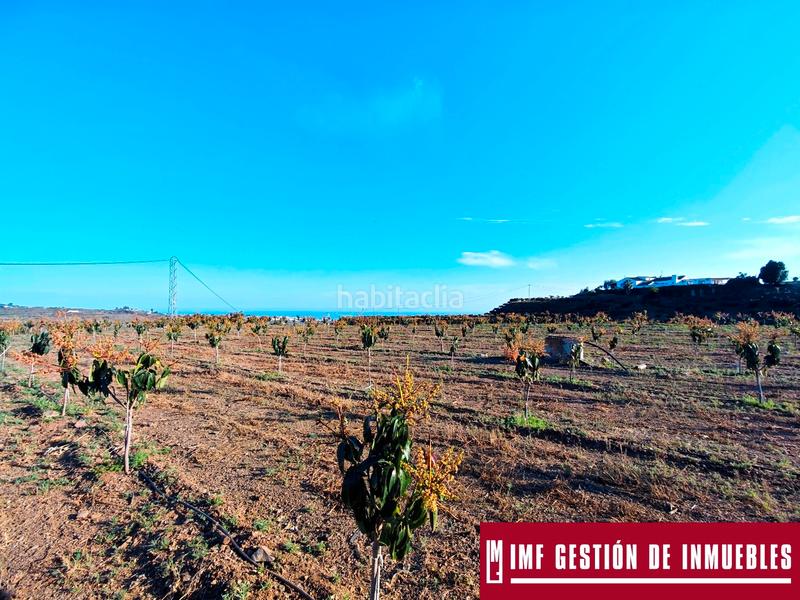 Foto 7b9aca08-85de-489f-b545-551f3e3219a7. Finca rústica a urbanizacion los eucaliptos 24 a Vélez - Málaga