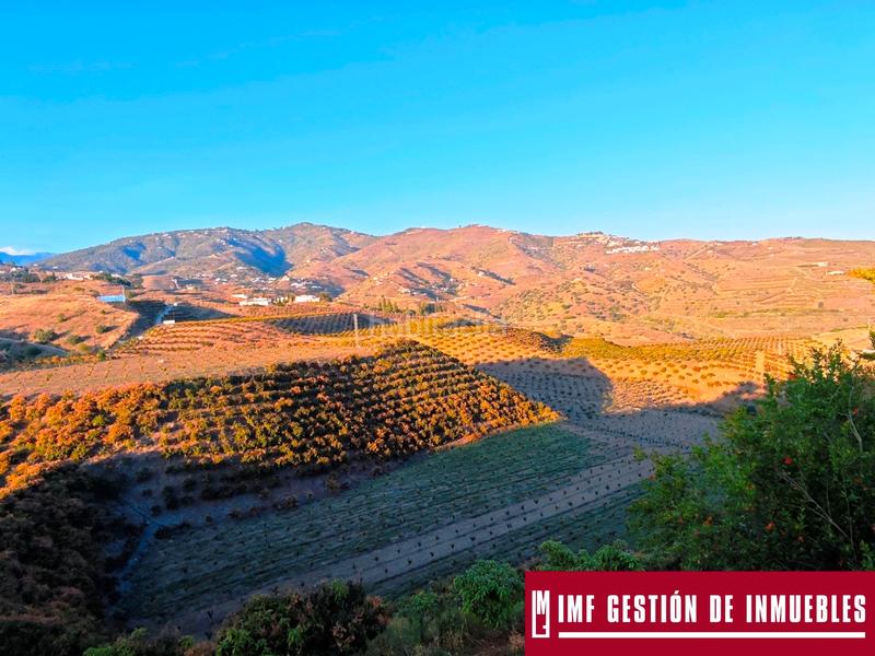 Foto 84003f79-8680-4b24-b9e9-2f395043f060. Finca rústica a urbanizacion los eucaliptos 24 a Vélez - Málaga