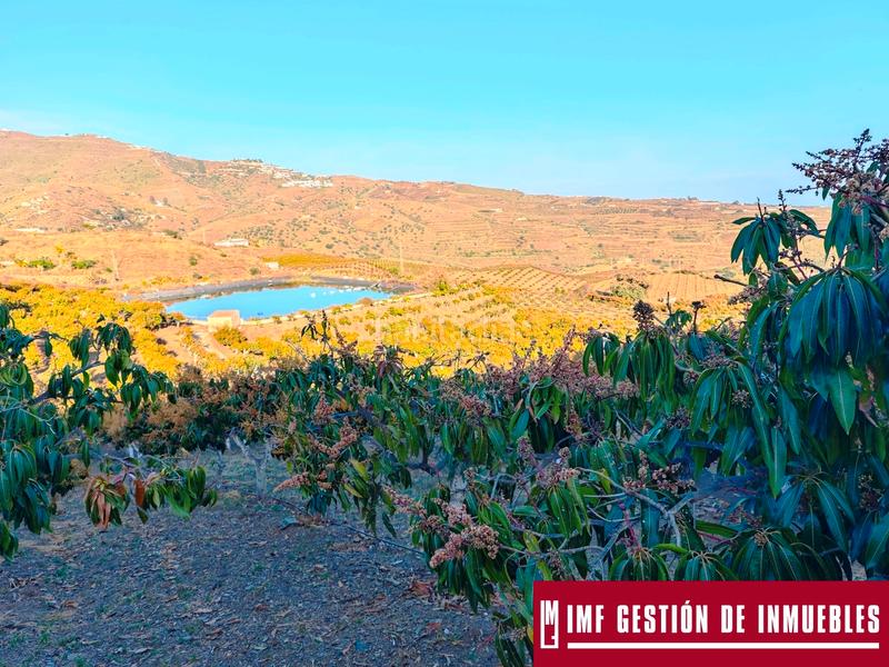 Foto 872c79a0-f593-42ff-a91a-a07358cc5e87. Finca rústica a urbanizacion los eucaliptos 24 a Vélez - Málaga