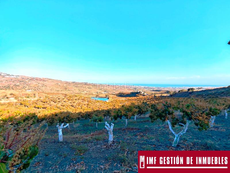 Foto 87db3b3c-3ad4-47b7-8754-cd5dcaea0dde. Finca rústica a urbanizacion los eucaliptos 24 a Vélez - Málaga