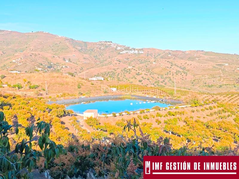 Foto 8c96b705-a3ac-4cab-b537-3005a88b70bb. Finca rústica a urbanizacion los eucaliptos 24 a Vélez - Málaga