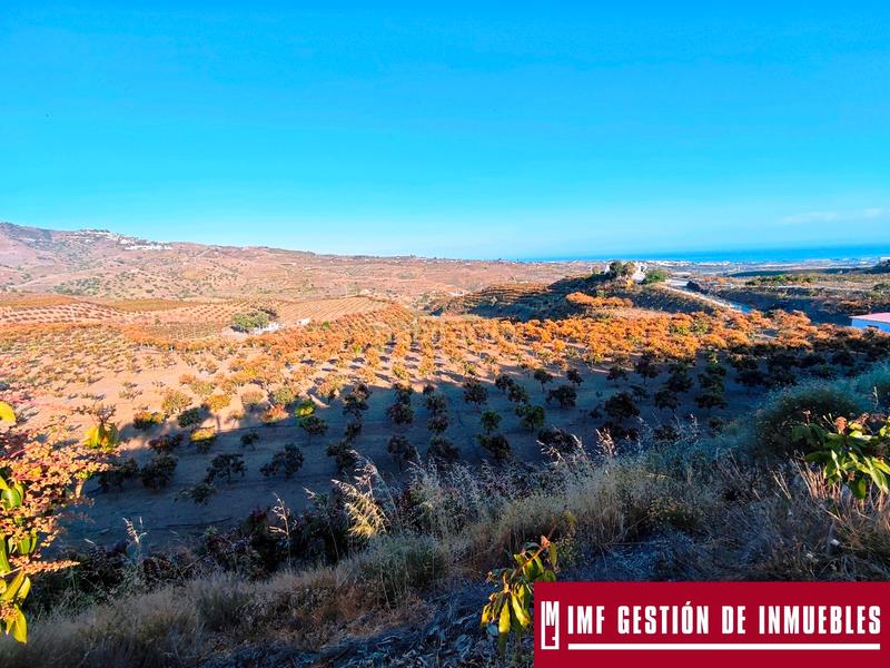 Foto 917054c8-9e0c-4dc4-9754-fda7d1a27175. Finca rústica a urbanizacion los eucaliptos 24 a Vélez - Málaga