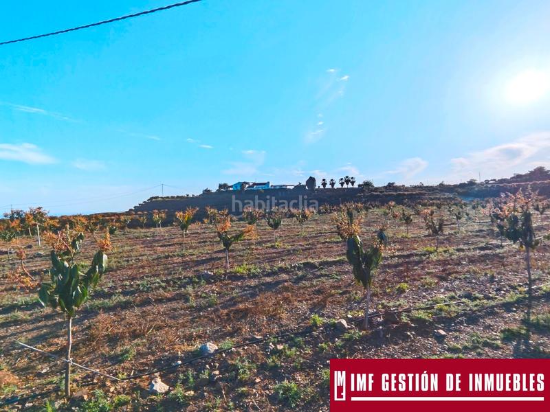 Foto 9a283e0c-fe30-4b24-b1b2-38cc604b3ce1. Finca rústica a urbanizacion los eucaliptos 24 a Vélez - Málaga