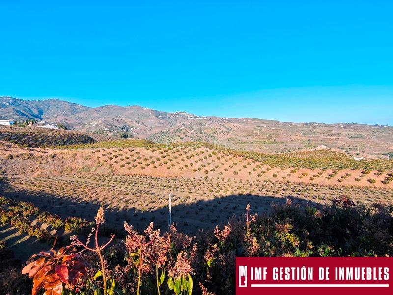 Foto 9daa256a-7ea5-4b35-b17f-5143e7a37387. Finca rústica a urbanizacion los eucaliptos 24 a Vélez - Málaga