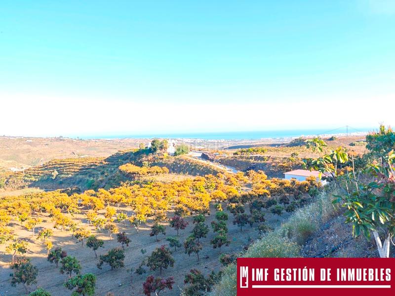 Foto 9eb62780-9f38-4322-8ff5-ab4e7be16583. Finca rústica a urbanizacion los eucaliptos 24 a Vélez - Málaga