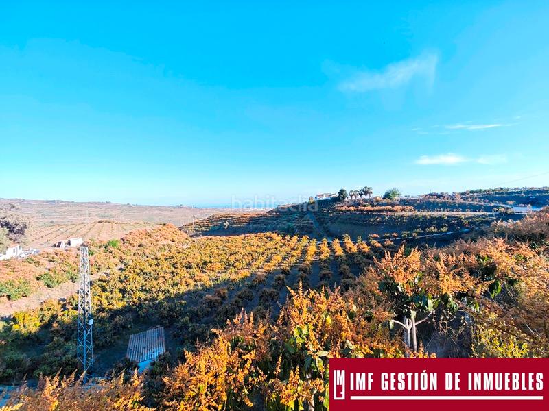 Foto bddf1543-545a-4cc2-8ee1-20c7f7f74e95. Finca rústica a urbanizacion los eucaliptos 24 a Vélez - Málaga