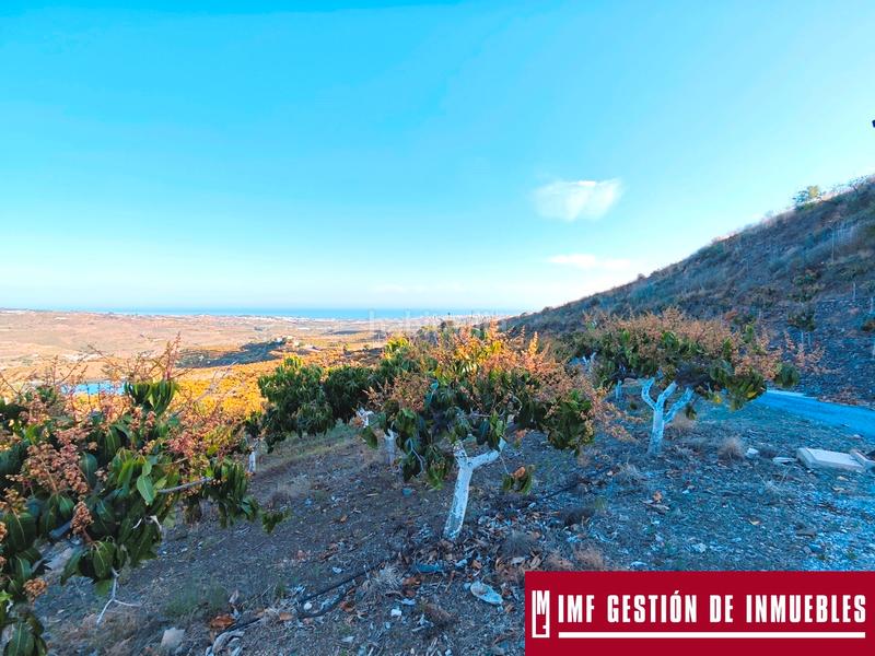 Foto be79ba7d-8cfd-4d89-a872-cdd754d98480. Finca rústica a urbanizacion los eucaliptos 24 a Vélez - Málaga