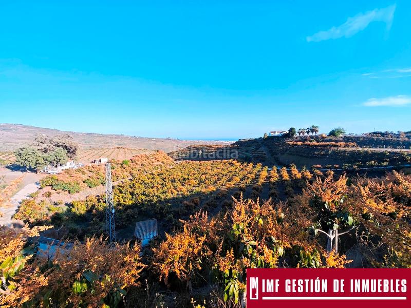Foto d252feb7-0652-47be-8149-a87a1adb412e. Finca rústica a urbanizacion los eucaliptos 24 a Vélez - Málaga