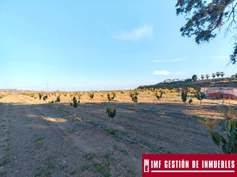 Foto d3719515-6fc2-472d-bed1-fc0aa2640fa4. Finca rústica a urbanizacion los eucaliptos 24 a Vélez - Málaga
