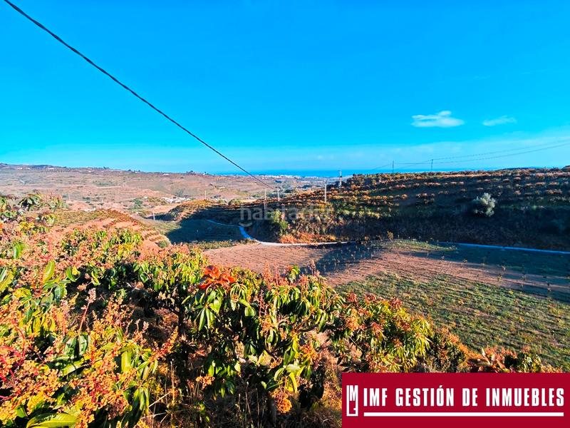 Foto e6ef3f2c-0dea-4eae-b1b5-d739f171847c. Finca rústica a urbanizacion los eucaliptos 24 a Vélez - Málaga