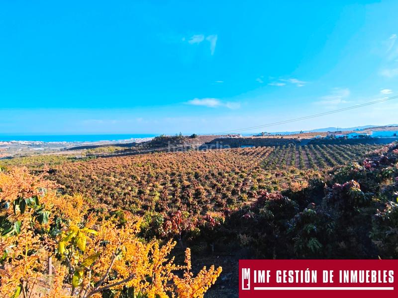 Foto ec75aebd-ab38-41af-be7c-53e3820a810e. Finca rústica a urbanizacion los eucaliptos 24 a Vélez - Málaga