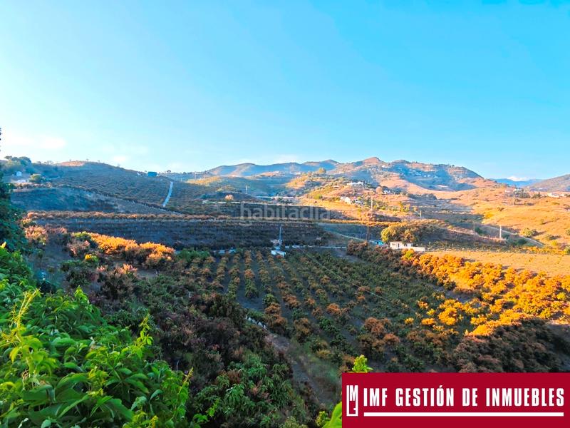 Foto f6d9d9d6-192a-4a84-8c82-d18e3e8e67cc. Finca rústica a urbanizacion los eucaliptos 24 a Vélez - Málaga