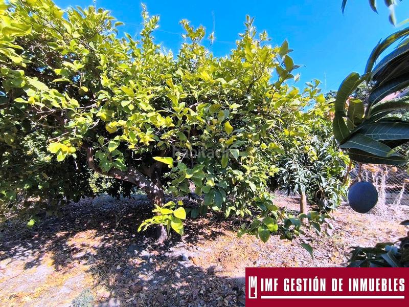 Foto 029e736d-cb2a-4e25-8cc0-8054e332256a. Masía en Norte - Barrio del Pilar - El Reñidero Vélez - Málaga