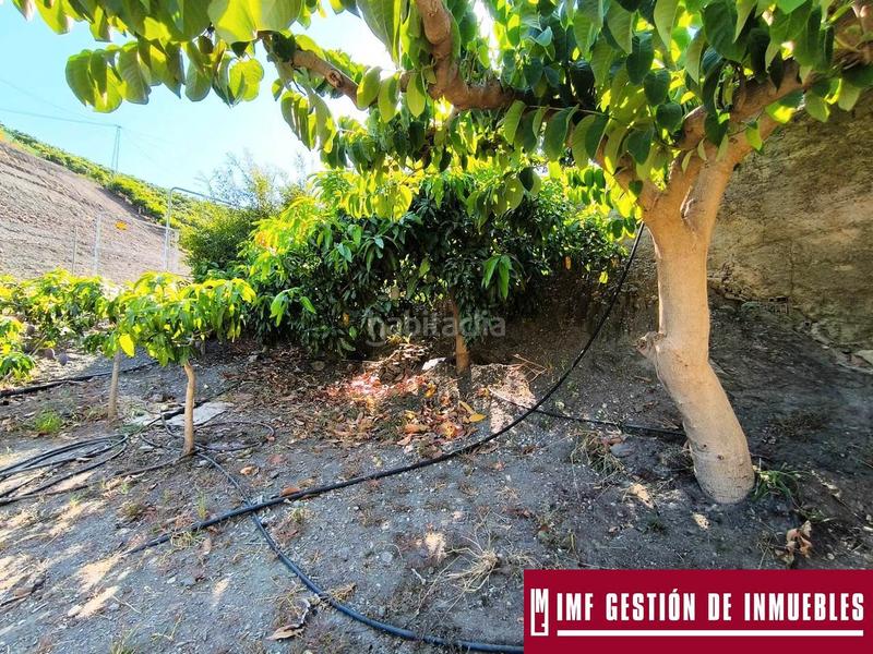 Foto 2e45c1cb-d95e-4921-99b3-6478eae6938c. Masía en Norte - Barrio del Pilar - El Reñidero Vélez - Málaga