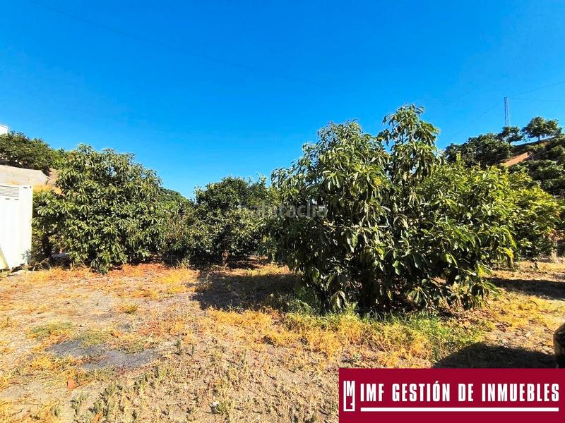 Foto 61c0f1c4-aaf4-4b50-ad6a-607117a2863b. Masía en Norte - Barrio del Pilar - El Reñidero Vélez - Málaga