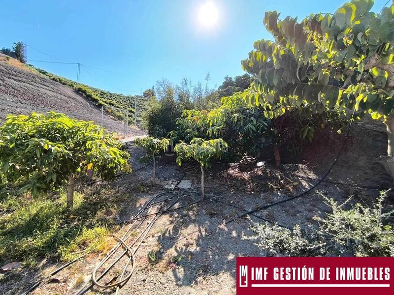 Foto 61e275e6-a30a-49c2-be75-0a31f805512e. Masía en Norte - Barrio del Pilar - El Reñidero Vélez - Málaga