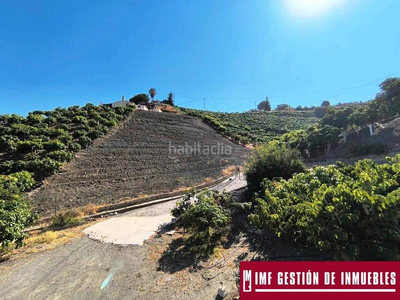 Foto eea57be7-c6fa-4fc0-ada2-0c27f83ff675. Masía en Norte - Barrio del Pilar - El Reñidero Vélez - Málaga