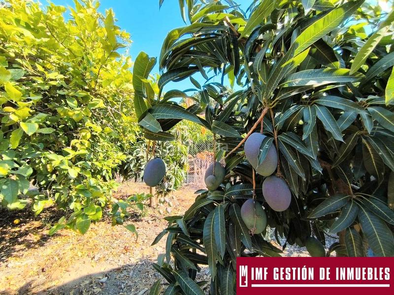 Foto 77be65f4-5ccb-48d0-8e42-4208f120bc8c. Masia amb xemeneia aparcament a Norte - Barrio del Pilar - El Reñidero Vélez - Málaga