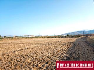 Finca rústica  Calle carretera de loja 61. Imf gestión de inmuebles vende parcela rústica de regadío en vél