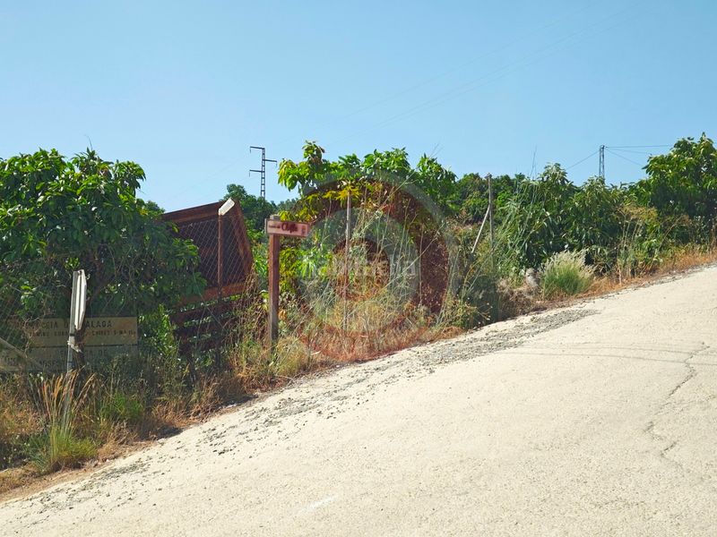 Foto 1673a94e-9d12-4788-8ef3-3d15da37013e. Xalet amb piscina a Benamargosa