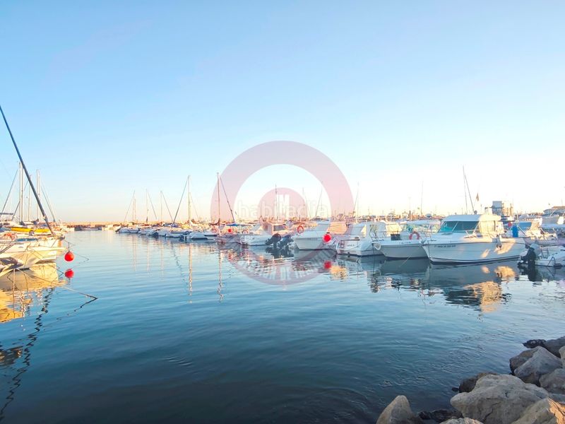 Foto 198b6be5-04f3-45f8-b936-5d6c5f2ceec9. Pis a Caleta de Velez