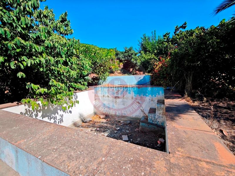 Foto 23276b66-f04b-40d4-8478-523fe8805314. Finca rústica a urbanizacion los eucaliptos 24 a Vélez - Málaga