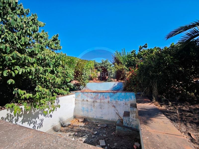 Foto 3d989152-d11f-415e-bb2d-6d25819f1611. Finca rústica a urbanizacion los eucaliptos 24 a Vélez - Málaga