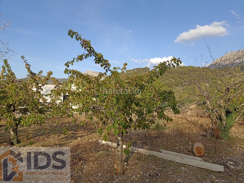 Foto 4df68c70-4df0-4066-8a71-4718a507f05c. Xalet amb piscina a Albánchez de Úbeda