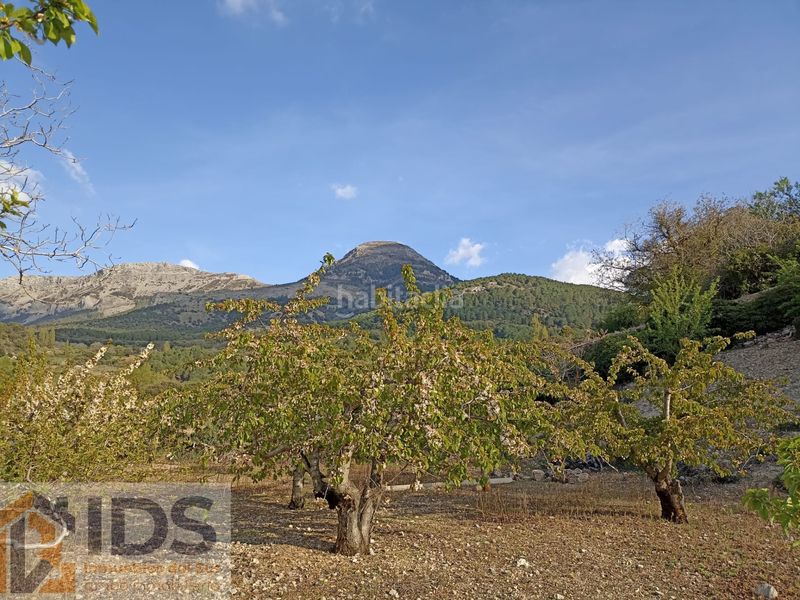 Foto 8c6d1529-3cd5-4fd3-ba78-ddacaf9ce437. Xalet amb piscina a Albánchez de Úbeda
