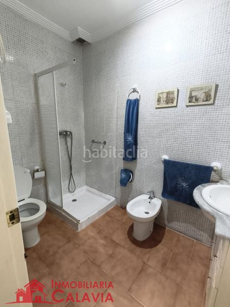 Foto 1904db5f-ebe7-46fa-b3c1-1bfaa7c236e6. Pis a Baeza