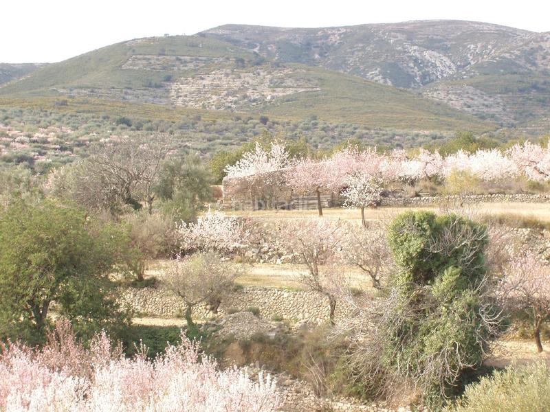 Foto 3dad1408-c9cb-4175-9bd6-96a92cf9a77a. Terreno residenziale in Cálig