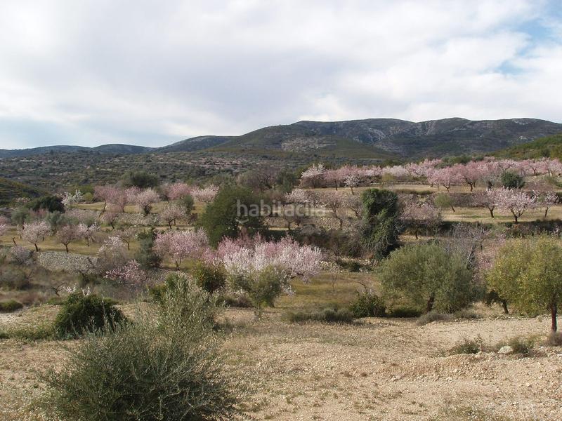 Foto 4816692a-3976-4679-a360-8bd7bb0bcd6c. Terreno residenziale in Cálig