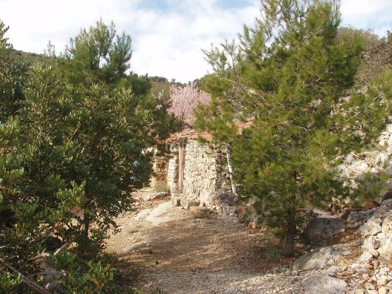 Foto 84f4eb58-7a73-498d-b201-738fbba7ba93. Terreno residenziale in Cálig