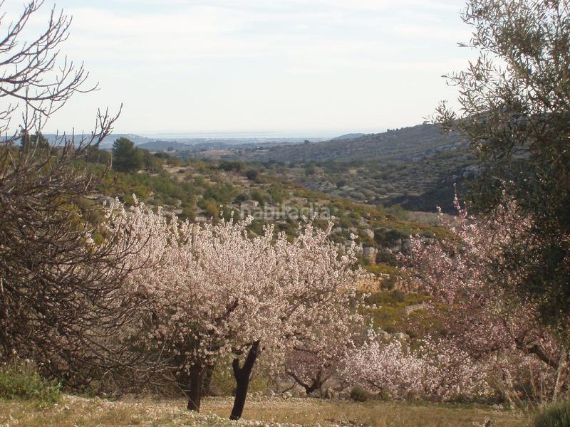 Foto a67f129b-e220-4657-ac88-10fb79149e0b. Terreno residenziale in Cálig