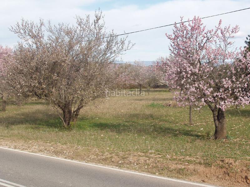 Foto cc24c219-c25f-4531-9dbf-98d1f189aa28. Terreno residenziale in Cálig