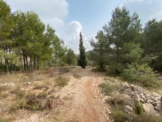Fondo rustico in Pueblo