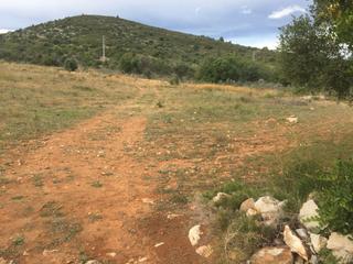 Landgut in Urbanizacion de paraje roquetes 137