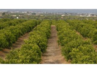 Finca rústica a Mestrets. Terreno en venta