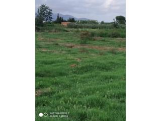 Rural plot in Ciutat del Transport - La Salera. Terreno en venta en castelló de la plana